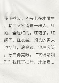 王爷非要入赘我破落户完整版免费阅读，夜宸宸王苏柄添小说大结局在哪看