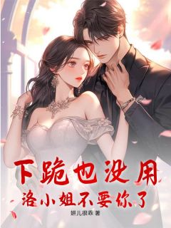 洛依妍严厉靳主角抖音小说下跪也没用，洛小姐不要你了在线阅读