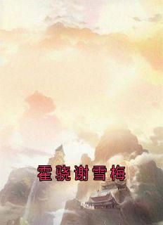 快手霍骁谢雪梅小说全本章节大结局