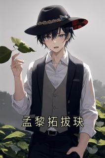 孟黎拓拔玦(新书)大结局在线阅读