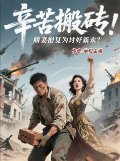 辛苦搬砖，娇妻报复为讨好新欢？全文目录-小海小梅小说无弹窗阅读