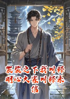 袈裟之下我叫释明心大家叫释永信(画龙写书)最佳创作小说全文在线阅读-暗夜阅读网