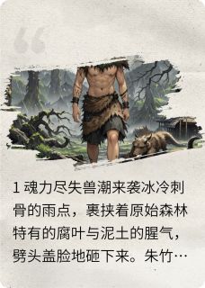 正版小说斗罗四美：荒天帝的永恒仙域朱竹清石昊在线免费阅读