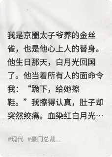 赝品摔碎后，太子爷跪着求我修复(呦丷小说)小说最新章节