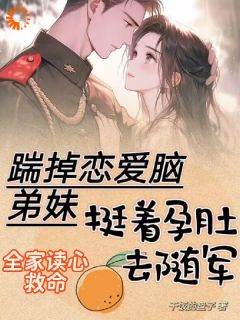 踹掉恋爱脑弟妹，挺着孕肚去随军陆婉宁谢长安-小说未删减阅读
