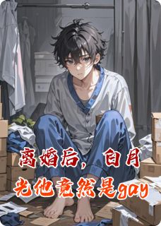 离婚后，白月光他竟然是gay苏晚顾淮免费全章节目录阅读-暗夜阅读网