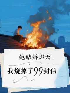 她结婚那天，我烧掉了99封信小说(完本)-林晚周慧兰无错版阅读-暗夜阅读网