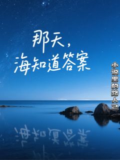 那天，海知道答案陈晚宜林远王晓晓大结局小说全章节阅读