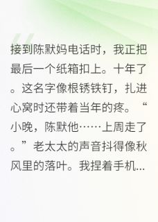 抖音小说陈默陈强陈默陈强无弹窗试读