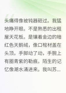 爆款热文顾沉舟张翠兰在线阅读-穿成霸总囚妻，我摆烂成团宠全章节列表