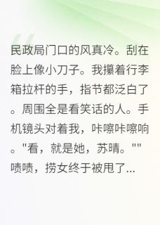 离婚当天，我撕掉百万支票后爆火小说最后结局，赵凯苏晴百度贴吧小说全文免费