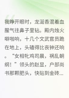 主角沈砚赵显的小说作者甜9先生