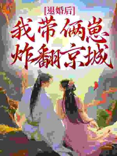 颜如玉陆夜北小说退婚后，我带俩崽炸翻京城​​完整章节-暗夜阅读网