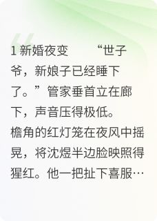 抖音小说【沈煜林晚】全集免费版在线阅读