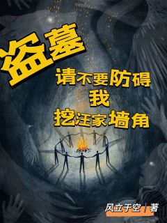 阿蘅张麒小说盗墓：请不要妨碍我挖汪家墙角完整章节