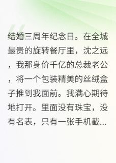 抖音小说总裁的1.88元笔笔攒，我离婚了，主角沈之远林薇薇最后结局小说全文免费