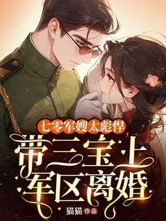 爆款小说七零军嫂太彪悍，带三宝上军区离婚在线阅读-沈清落陈桂花陆有为免费阅读