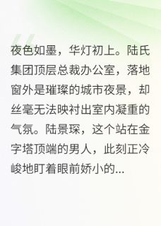 【抖音热推】夏晚晴陆景琛全文在线阅读-涅槃归来:陆总的漫漫追妻路全章节目录