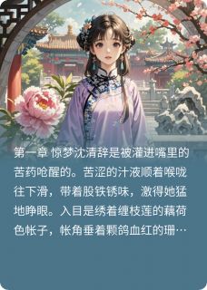 沈清辞康熙完整版朱墙雪之梦全文最新阅读