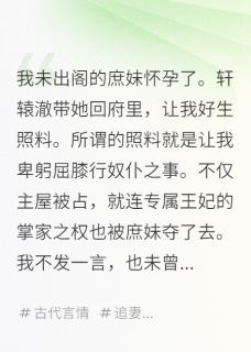 快手热推负心王爷，我不要了小说主角轩辕澈叶梨叶蓁在线阅读