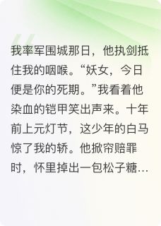 主角是沈昭陈锋的小说再见君不识最完整版热门连载