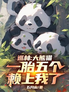 全网首发完整小说巡林：大熊猫一胎五个，赖上我了主角沈星熊猫在线阅读
