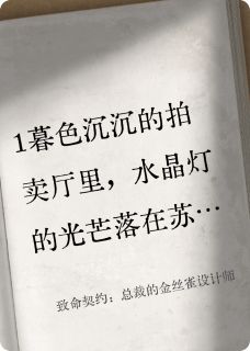 苏晚晴霍沉舟林若曦全集小说_致命契约：总裁的金丝雀设计师完结版阅读