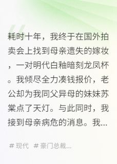 抖音老公为妹妹点天灯，我转身离开小说章节阅读