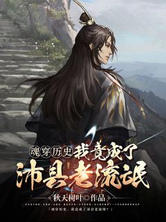 精彩小说魂穿历史，我竟成了沛县老流氓？李云逸吕雉全章节在线阅读