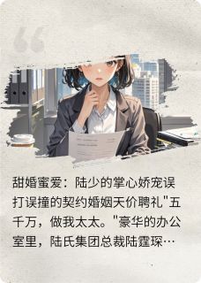 免费试读主角苏暖暖陆霆琛小说