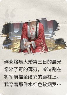 主角苏婉清裴铮的小说作者偷不到心的猫
