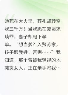 主角是于炀苏小蜜李洵的小说入赘老公：苏总，孩子跟你姓最完整版热门连载