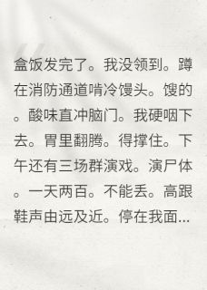 离婚后重逢，影帝他追妻火葬场顾沉砚林薇薇离婚后重逢，影帝他追妻火葬场全文免费阅读【完整章节】