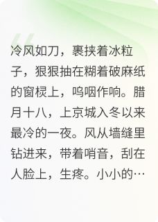 (抖音小说)沈月晚沈宝珠小说全文阅读免费