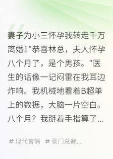 苏婉张明小说哪里可以看 小说妻子为小三怀孕我转走千万离婚全文免费阅读