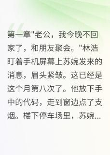 快手苏婉林浩主角的小说全本章节大结局