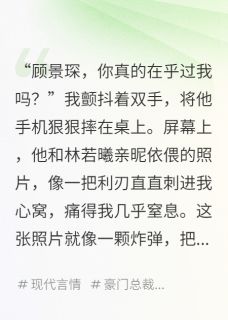 男友白月光回来后我彻底崩溃了小说(完本)-顾景琛陆沉苏晚无错版阅读