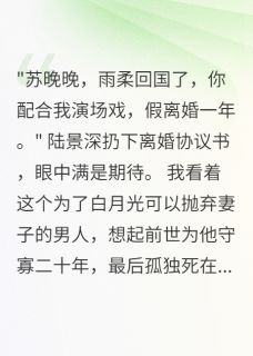 首长要离婚我直接签真协议陆景深林雨柔小说全章节最新阅读