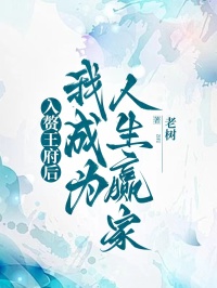 入赘王府后，我成为人生赢家昭儿小莲by老树免费看