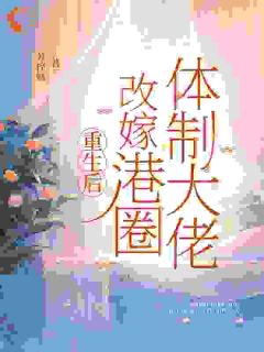 港圈大佬前夫？不好意思我不要了沈念初秦司礼全章节完结版在线阅读-暗夜阅读网