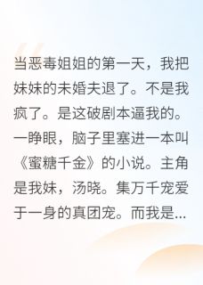 汤晓汤晨顾琛小说无广告阅读