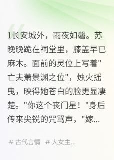 好书推荐相爷的替身小娇妻苏晚晚顾瑾言萧慕北全文在线阅读