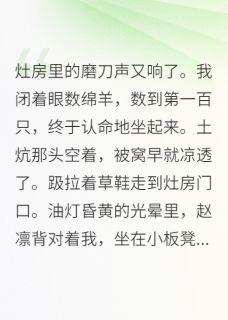 发现夫君是失忆皇子在哪免费看，赵凛李里正萧景琰小说章节目录阅读