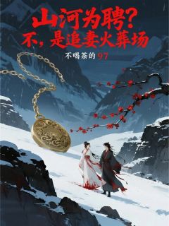 山河为聘？不，是追妻火葬场阿璃萧庭烨沈砚舟-小说txt全文阅读-暗夜阅读网