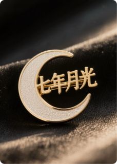 热门小说胸针里的七年月光完整版全文阅读-暗夜阅读网