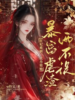 主角宋晚意秦砚霖的小说作者u铃宝