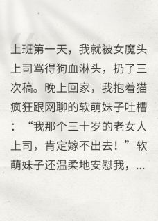 苏晚林舟小说我的魔鬼上司御姐总裁是猫奴萌妹完整章节-暗夜阅读网