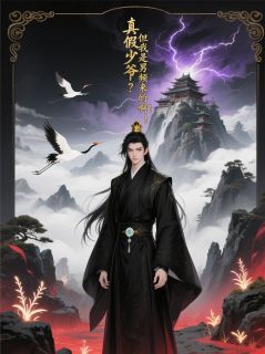 快手真假少爷？但我是男频来的啊！小说全本章节大结局-暗夜阅读网