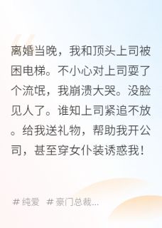 离婚后对顶头上司耍流氓被缠上了小说(完结)-谢怀瑾江逸苏然章节阅读