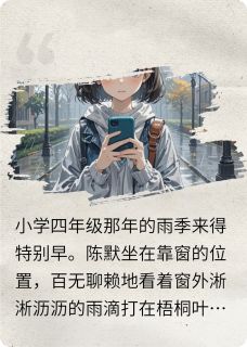 主人公陈默林小雨在线免费试读借给你的伞，能还给我吗最新章节列表-暗夜阅读网